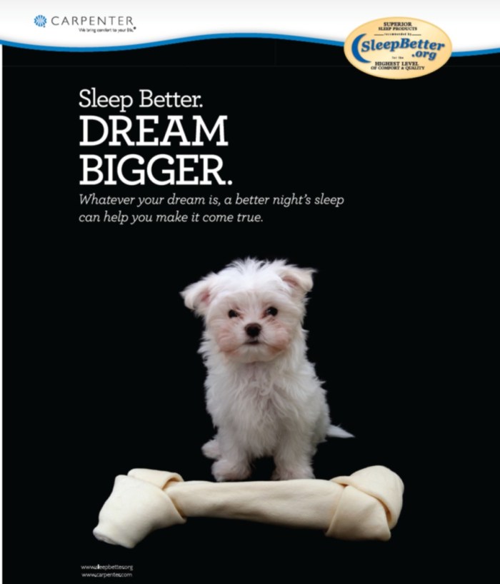 SleepBetter_DogBone