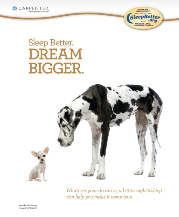 SleepBetter_Dogs